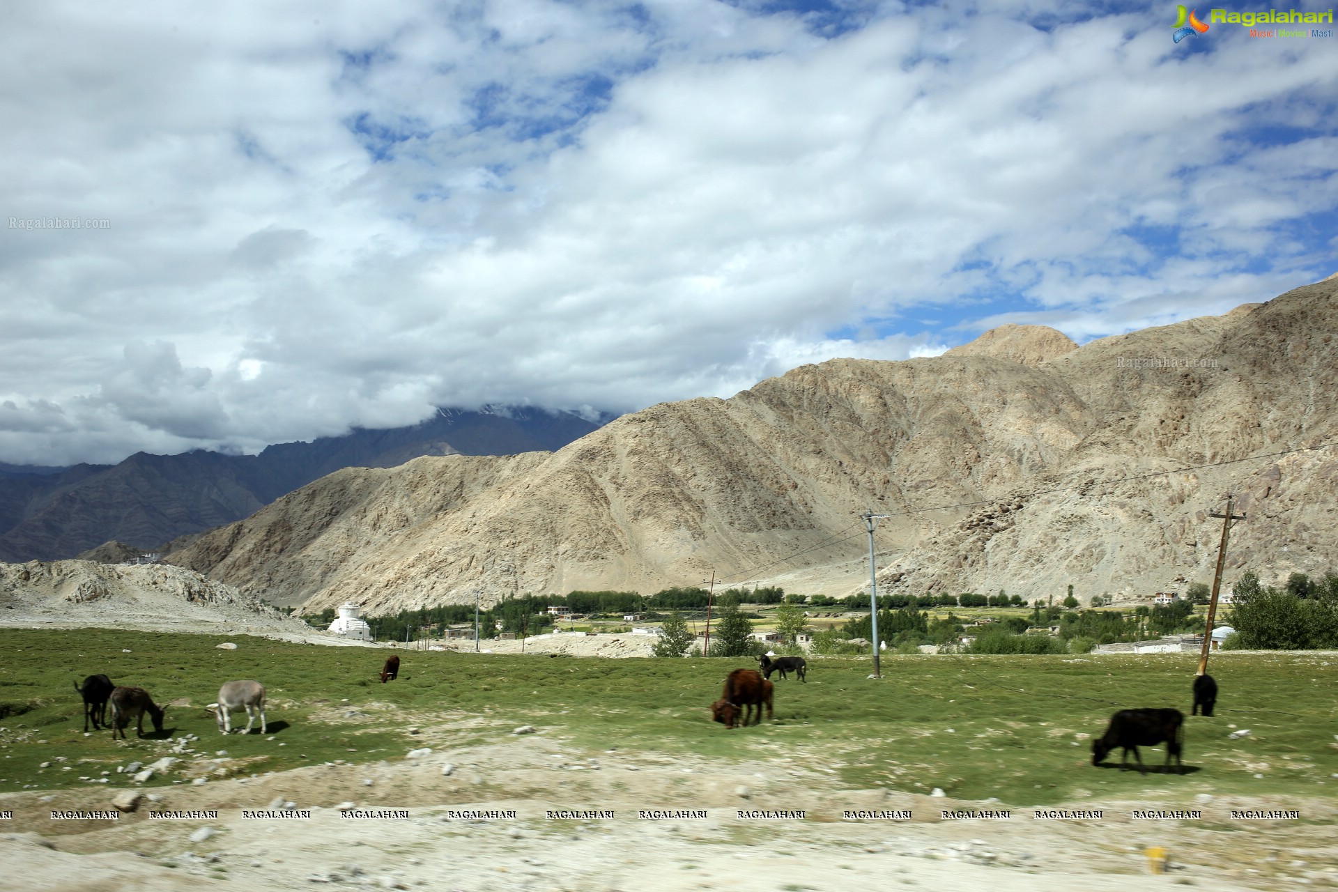 Nubra Valley High Definition Photos