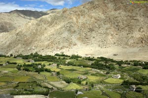 Nubra Valley High Definition Photos