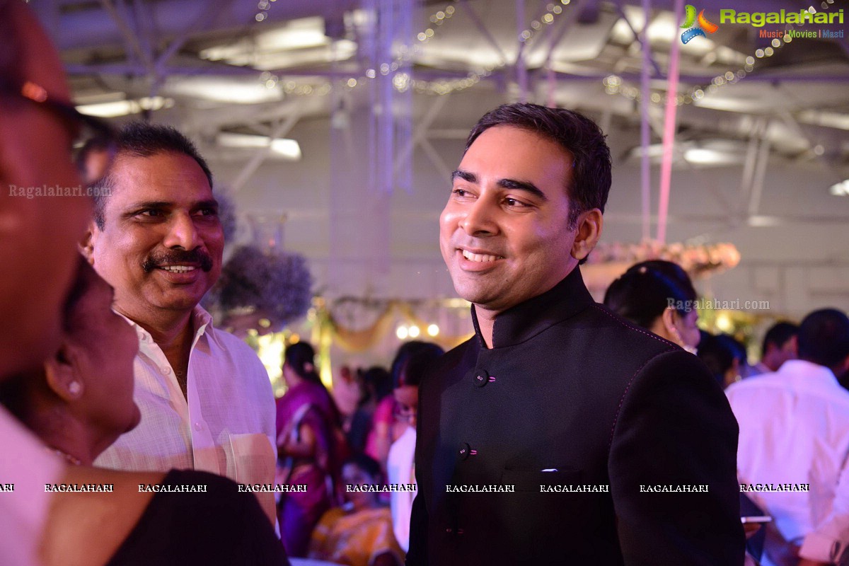 Raghavendra Rao's Son Prakash Rao Wedding Reception