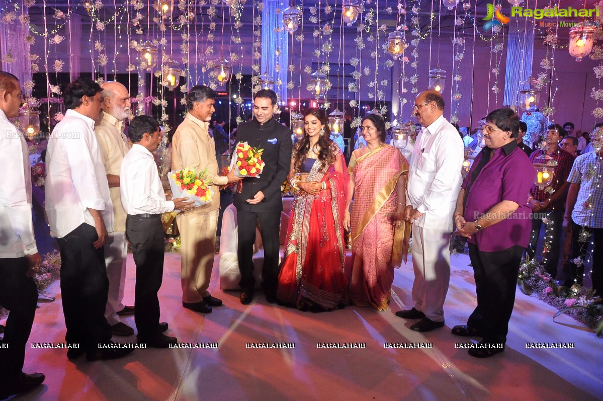 Raghavendra Rao's Son Prakash Rao Wedding Reception