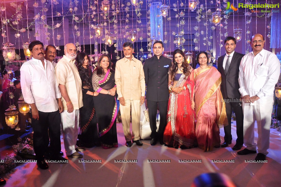 Raghavendra Rao's Son Prakash Rao Wedding Reception