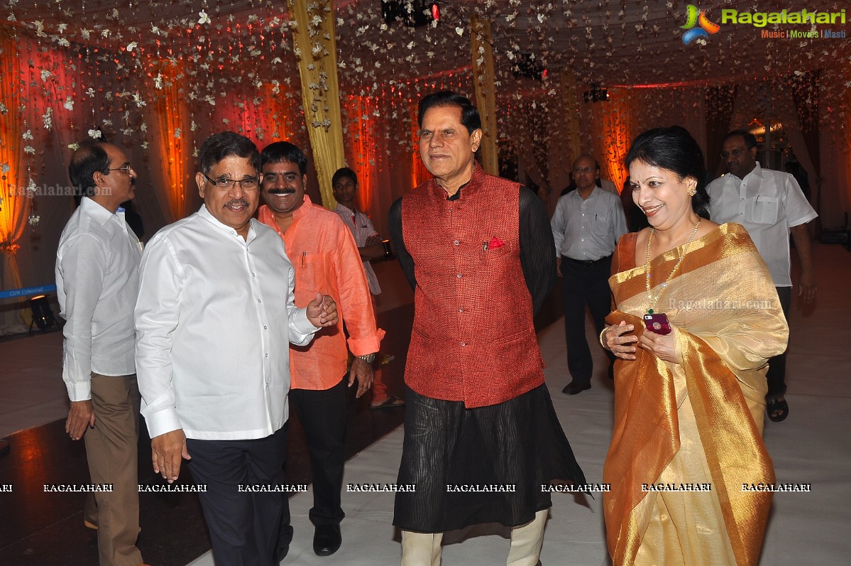 Raghavendra Rao's Son Prakash Rao Wedding Reception