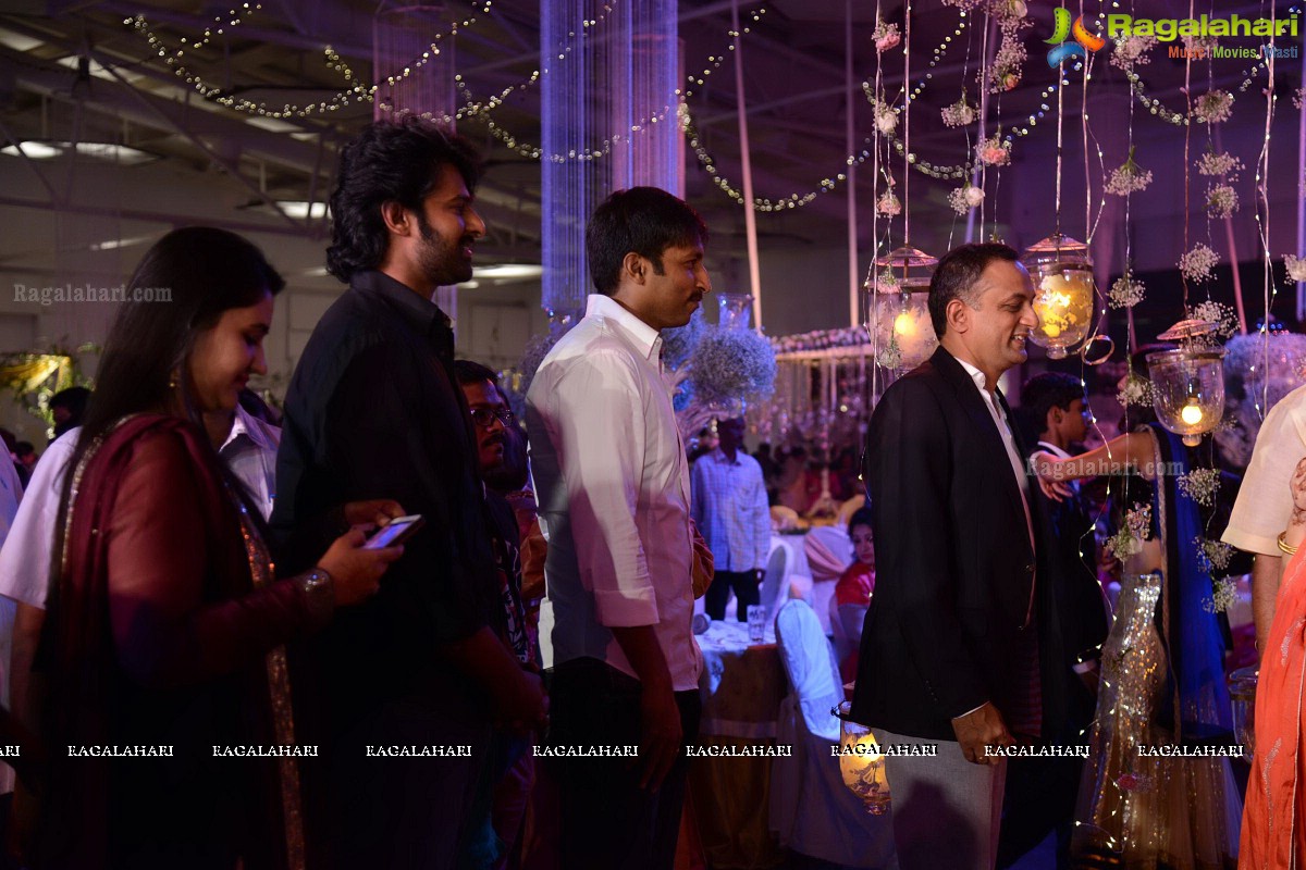 Raghavendra Rao's Son Prakash Rao Wedding Reception