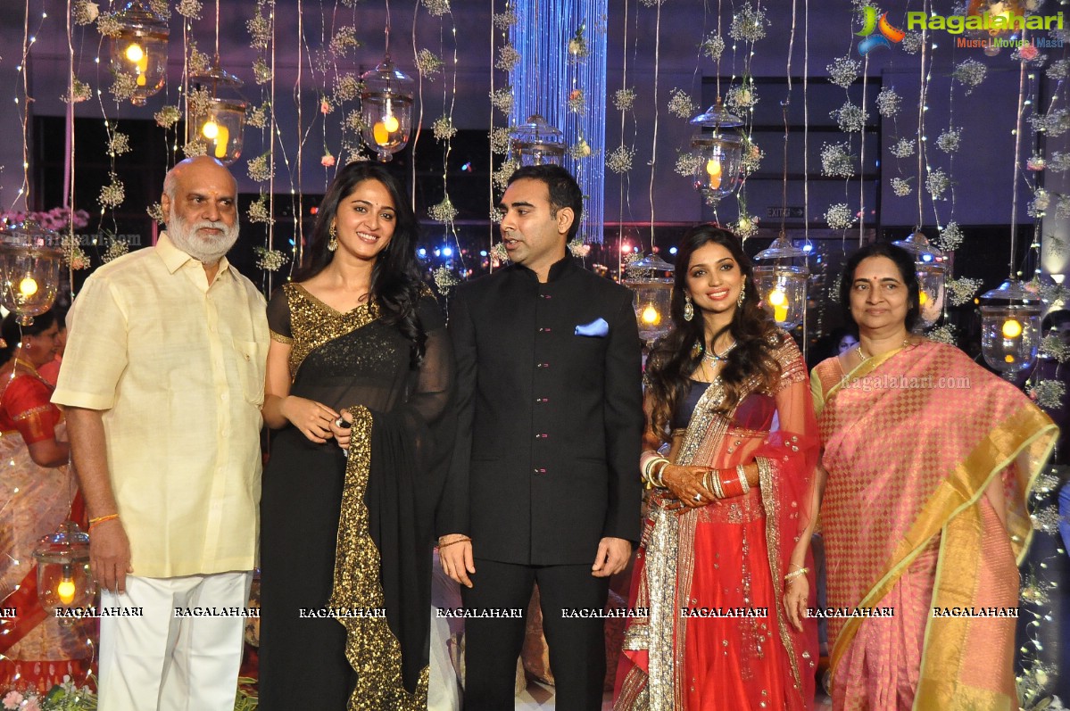 Raghavendra Rao's Son Prakash Rao Wedding Reception