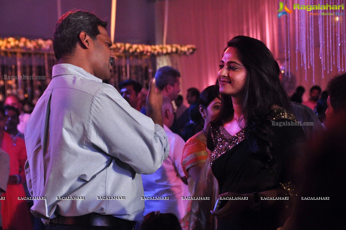 Raghavendra Rao's Son Prakash Rao Wedding Reception