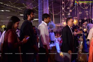 Raghavendra Rao Son Wedding Reception