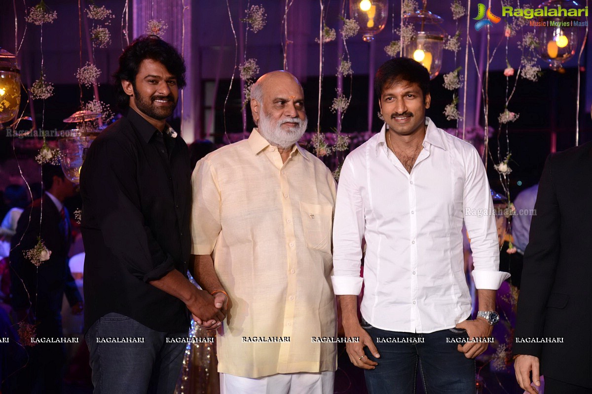 Raghavendra Rao's Son Prakash Rao Wedding Reception