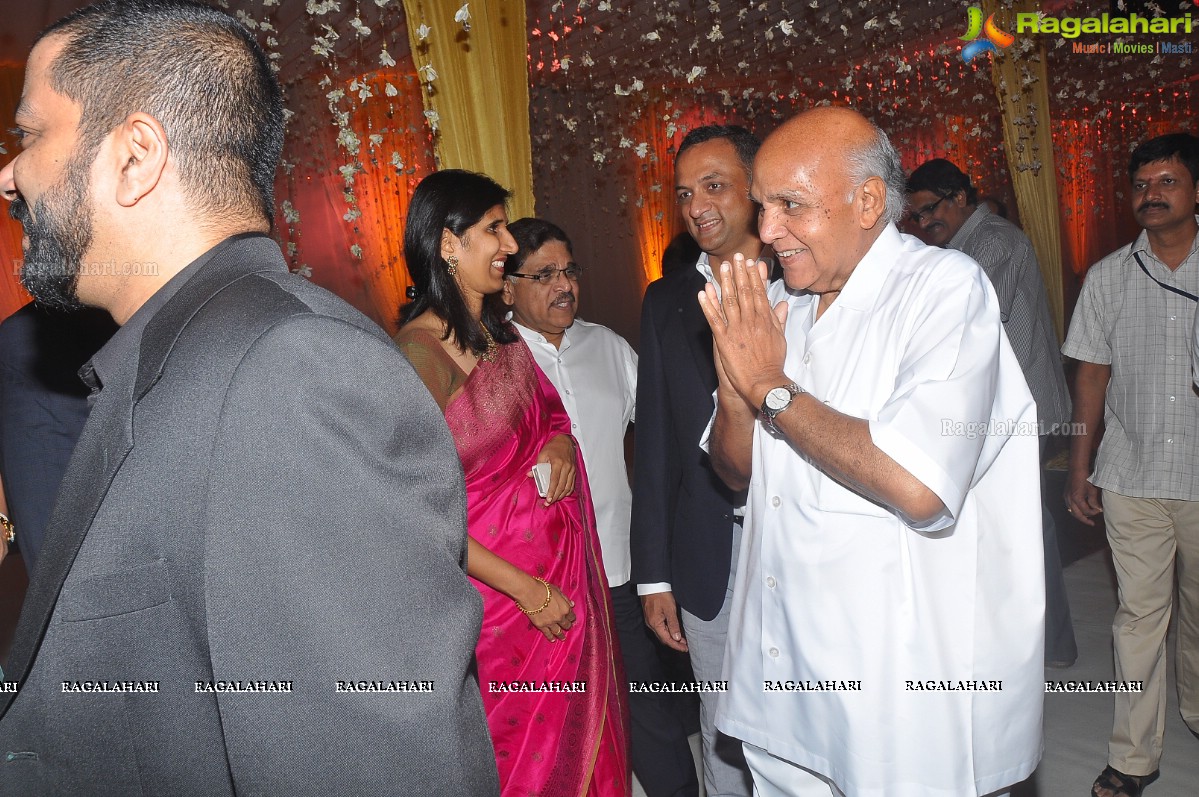 Raghavendra Rao's Son Prakash Rao Wedding Reception