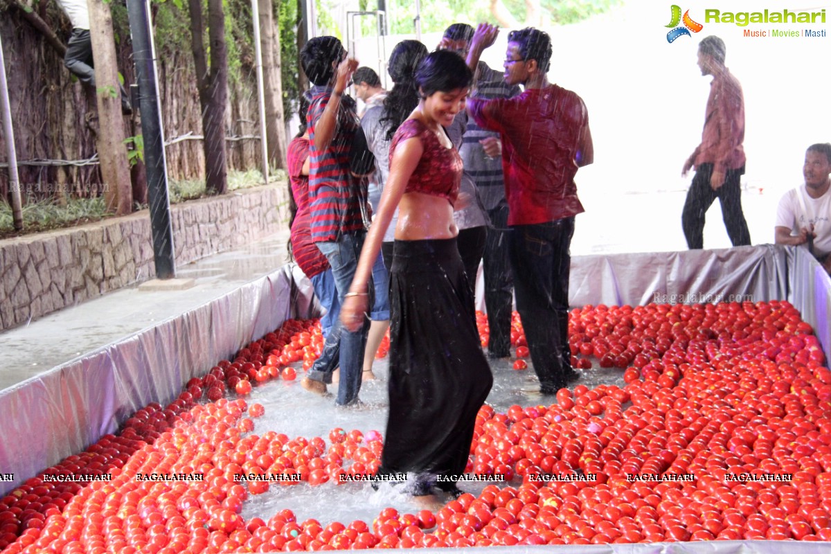 Tamatina Bash 2014 at Taj Banjara