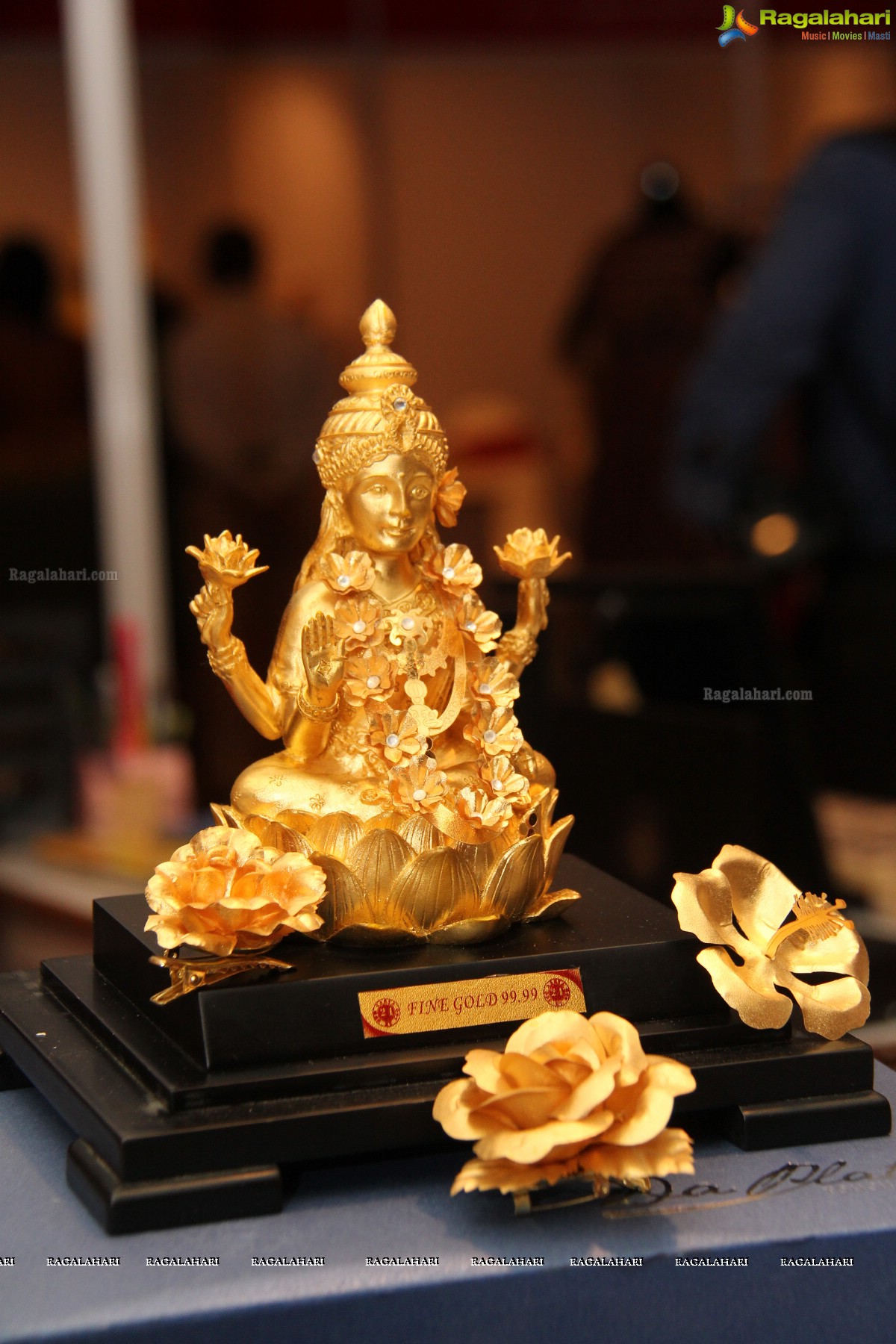 Vinyaasa Lifestyle Exhibition, Hyderabad