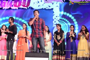 Megastar Chiranjeevi 60th Birthday Celebrations