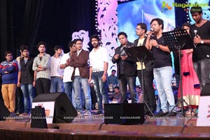 Megastar Chiranjeevi 60th Birthday Celebrations