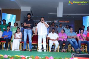 Anaganaga Oka Chitram Audio Release