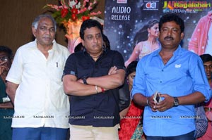 Anaganaga Oka Chitram Audio Release