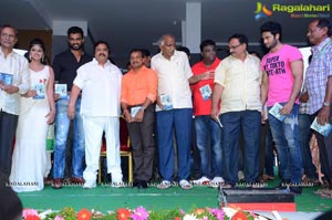 Anaganaga Oka Chitram Audio Release