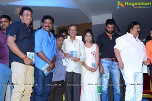 Anaganaga Oka Chitram Audio Release