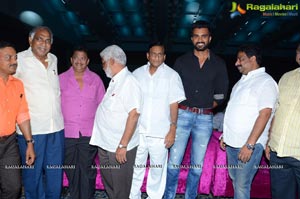 Anaganaga Oka Chitram Audio Release