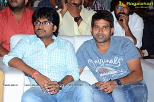 Kick 2 Audio Success Meet