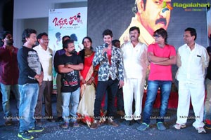 Okkaditho Modalaindi Audio Launch Photos