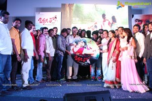 Okkaditho Modalaindi Audio Launch Photos