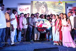 Okkaditho Modalaindi Audio Launch Photos