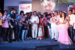 Okkaditho Modalaindi Audio Launch Photos