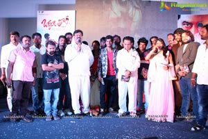 Okkaditho Modalaindi Audio Launch Photos