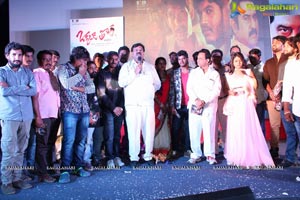 Okkaditho Modalaindi Audio Launch Photos