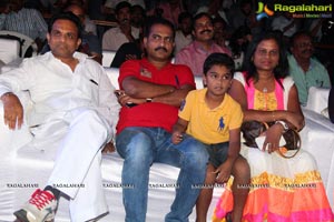 Okkaditho Modalaindi Audio Launch Photos