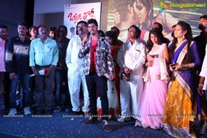 Okkaditho Modalaindi Audio Launch Photos