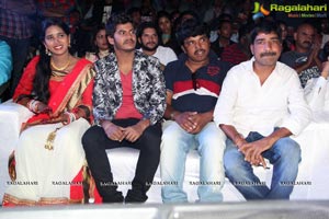 Okkaditho Modalaindi Audio Launch Photos