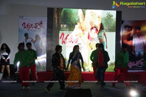 Okkaditho Modalaindi Audio Launch Photos