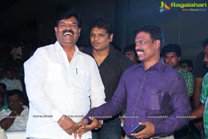 Okkaditho Modalaindi Audio Launch Photos