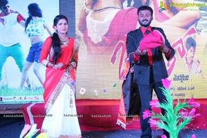 Okkaditho Modalaindi Audio Launch Photos