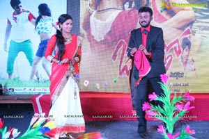 Okkaditho Modalaindi Audio Launch Photos