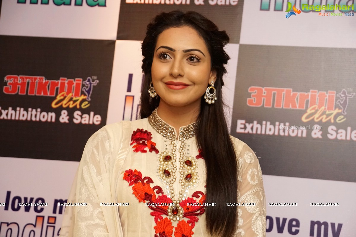 Nandini Rai inaugurates Akritti Elite Exhibition at Taj Krishna, Hyderabad (Aug. 2015)