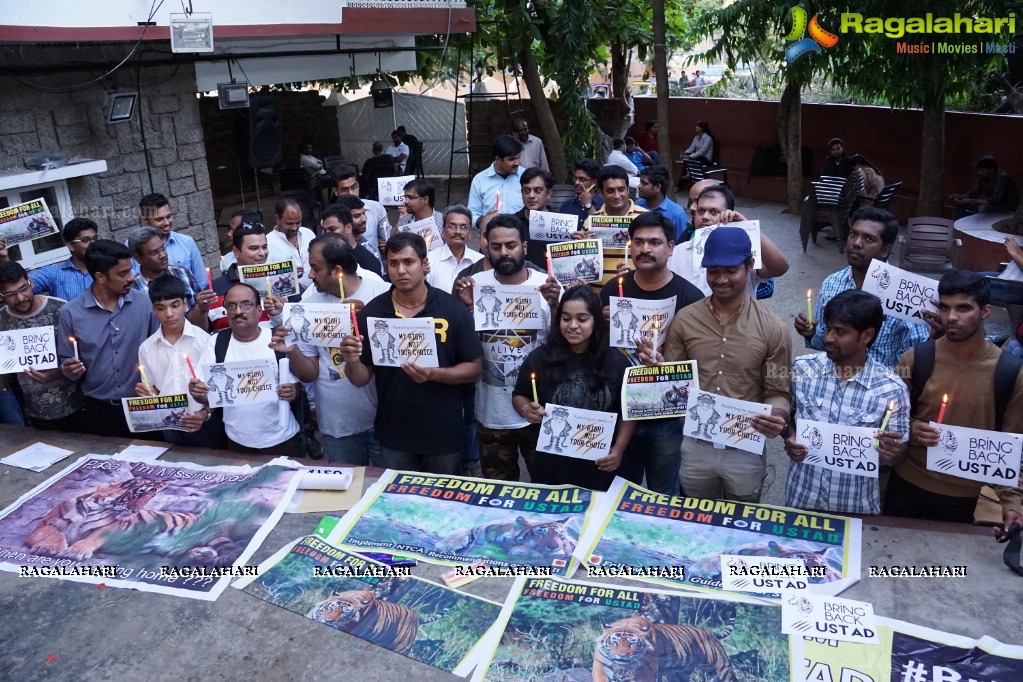 Bring Back Ustad - Peace Rally by Wild Life Photographers in Hyderabad