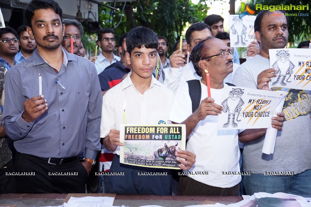 Bring Back Ustad - Peace Rally by Wild Life Photographers in Hyderabad
