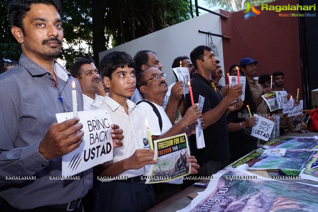 Bring Back Ustad - Peace Rally by Wild Life Photographers in Hyderabad