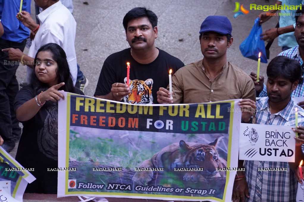 Bring Back Ustad - Peace Rally by Wild Life Photographers in Hyderabad