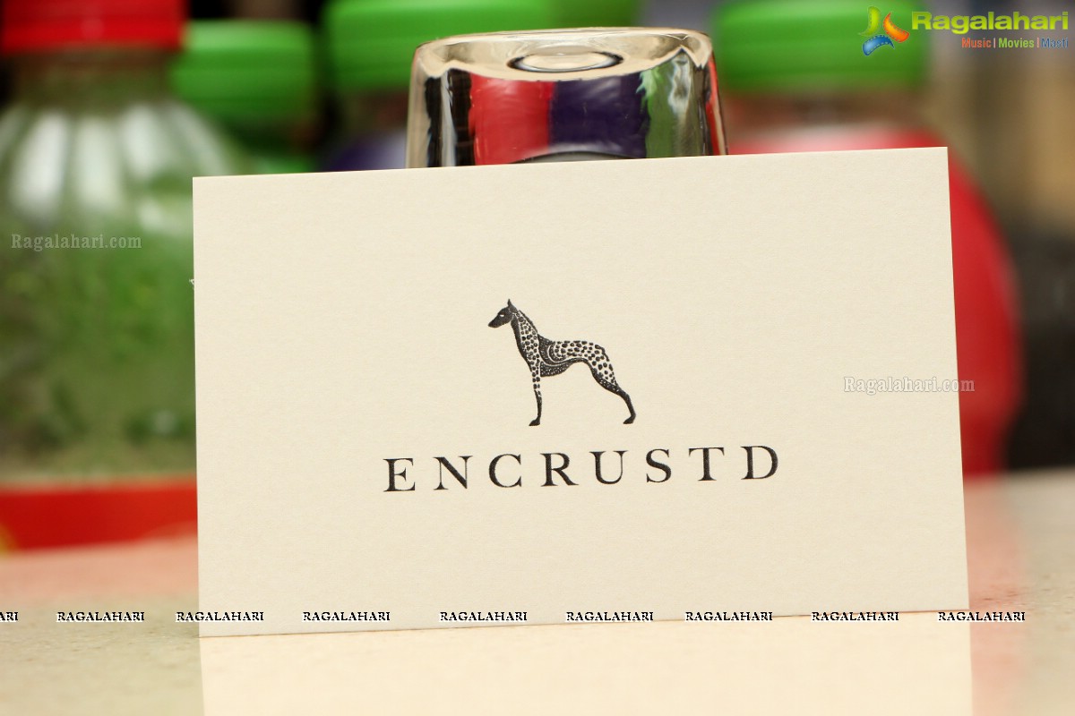 Encrustd Exhibition by Deepa Chikarmane at Fusion 9, Hyderabad