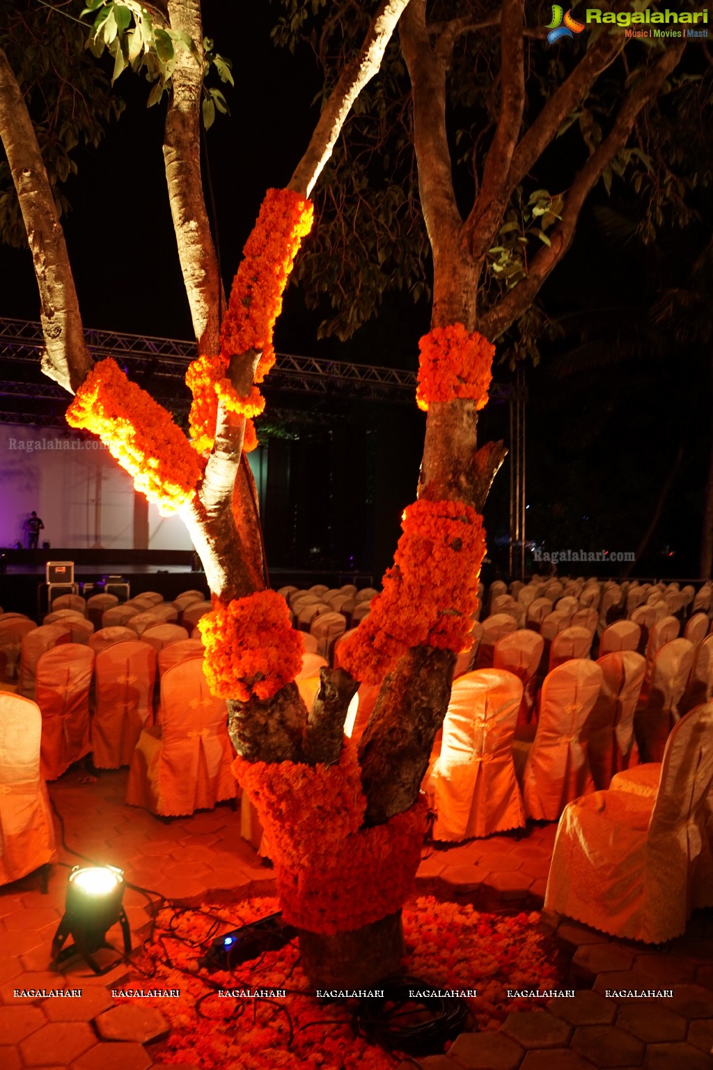 Telangana Temple Festival 2015