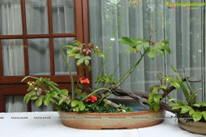 Ikebana International Hyderabad Chapter