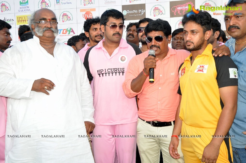 Kakatiya Cricket Cup Match 2015 (Set 2)