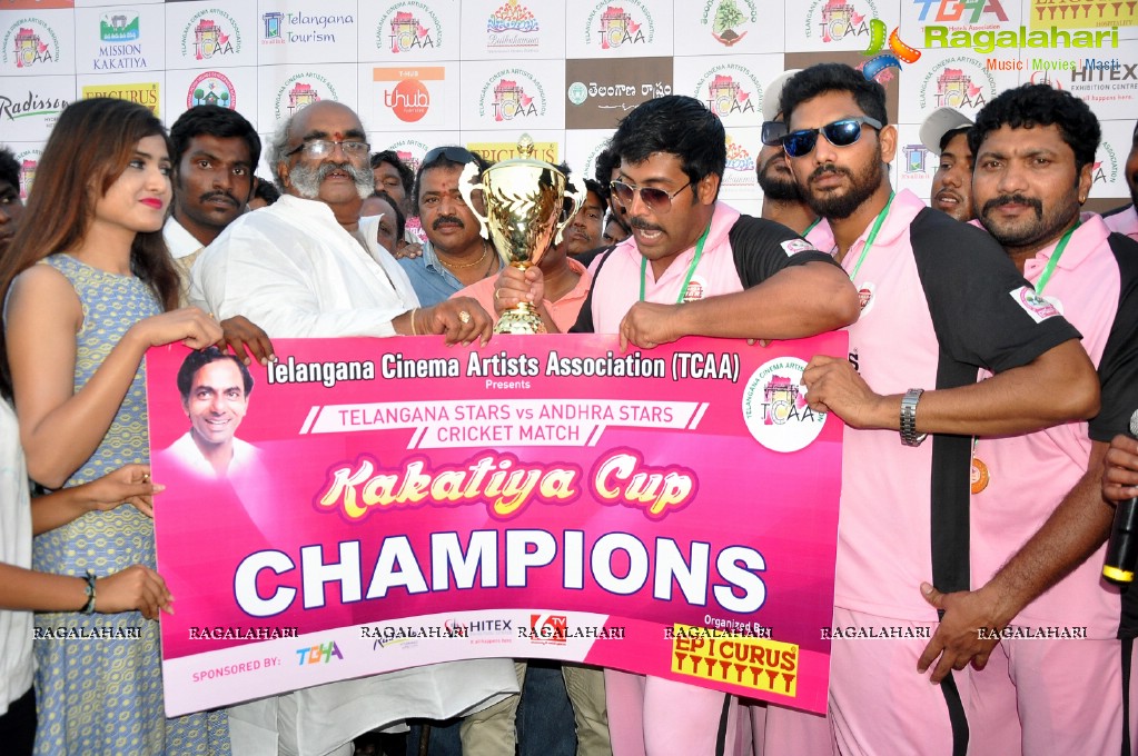 Kakatiya Cricket Cup Match 2015 (Set 2)