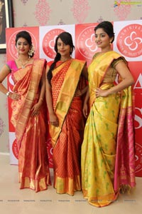 Kancheevaram Sarees