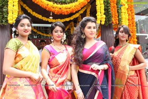 Kancheevaram Sarees