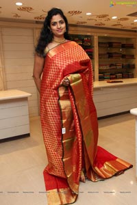 Kancheevaram Sarees