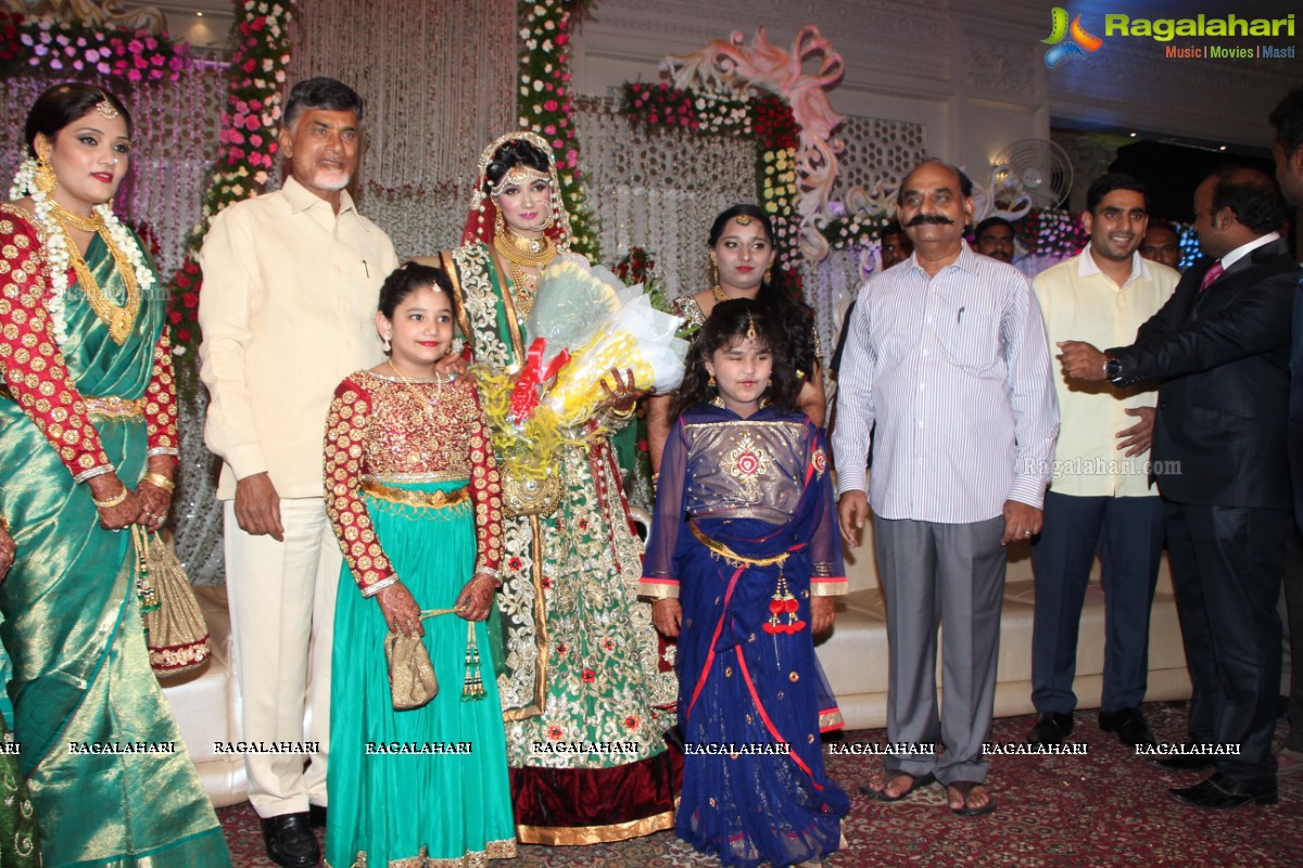 Former Minister Mr. NMd Farooq's Son Khaleel Wedding Reception at Kings Palace Function Hall