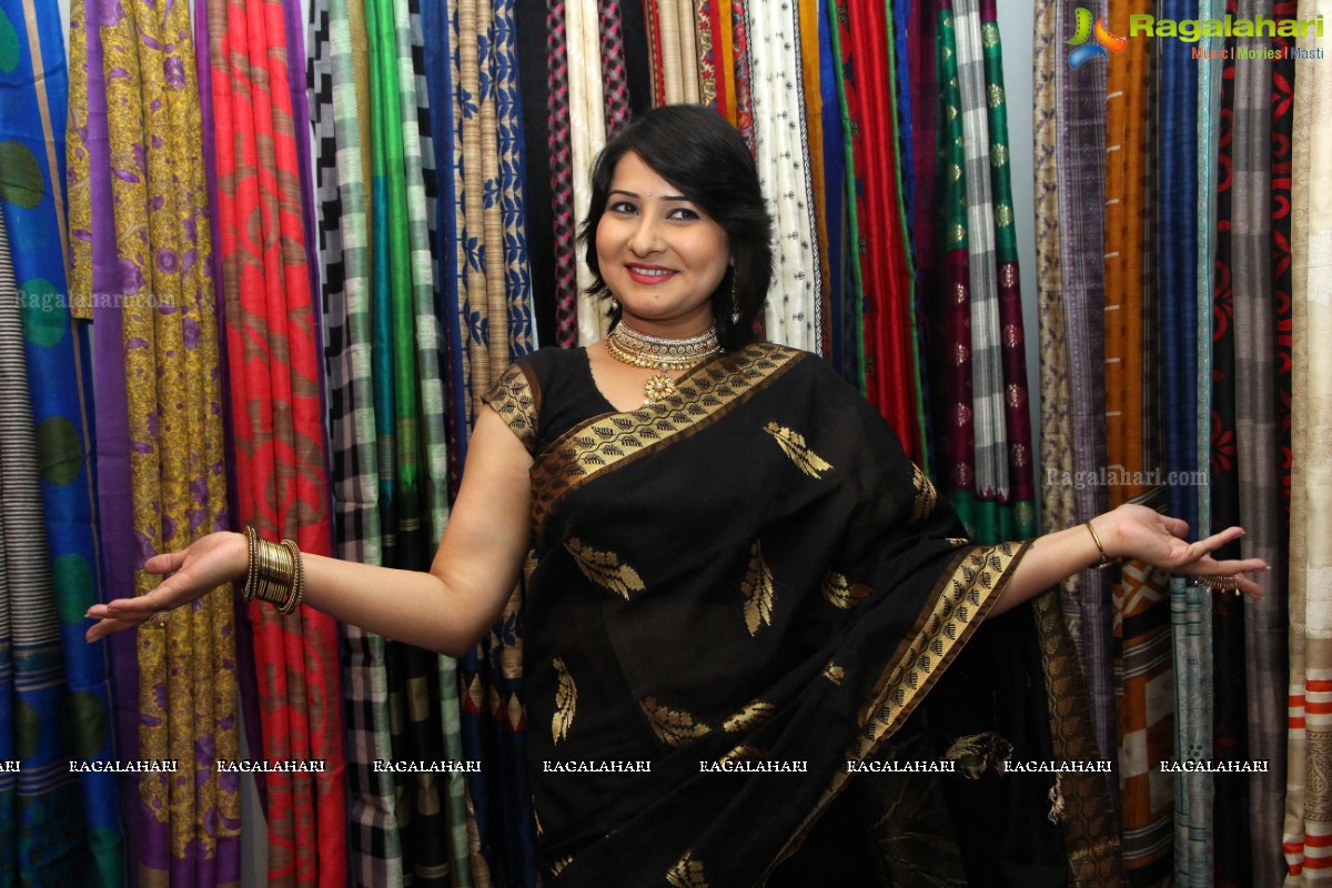 Lepakshi Handloom Cotton and Silk Mela - 2015